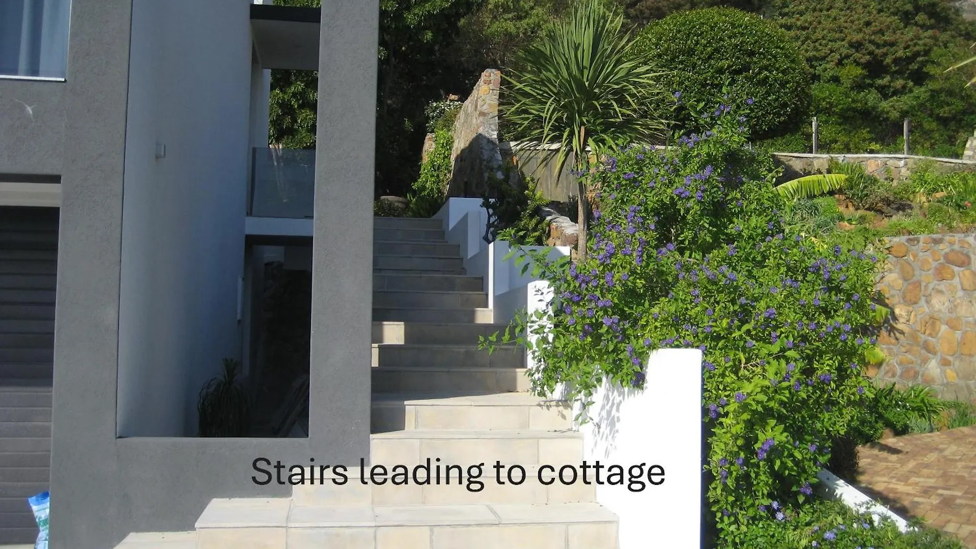 Camps Bay Cosy Accommodation Cape Town South Africa